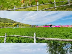 -大连铭湖国际观光牧场