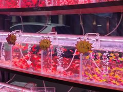 -中环花鸟鱼虫市场