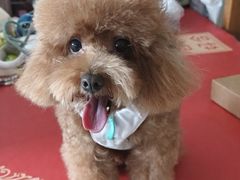 -洪福亮酒家(南草厂街店)