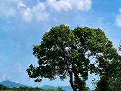-良渚古城遗址公园