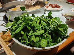 -汕头八合里海记牛肉店(清河店)