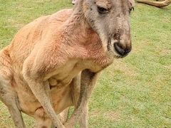 -泉州海丝野生动物世界