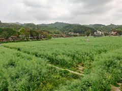 -红山村