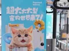 -帕帕拉兹宠物(亚洲旗舰店)