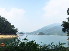 -广州市流溪河国家森林公园
