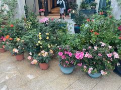 -沙龙酒家