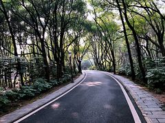 -东湖落雁景区
