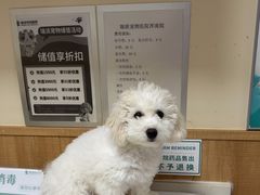 -瑞派宠物医院·24h·骨外科·皮肤科·全科宠物医疗转诊中心(沈阳浑南院)