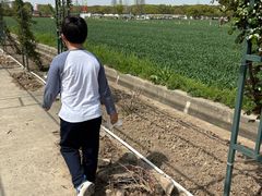 -嘉北郊野公园