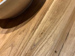 -叶婆婆钵钵鸡(解放碑店)
