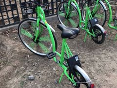 -永定河休闲森林公园