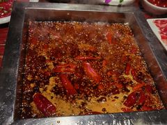 -二荆条·蜀鲜汇城市森林火锅