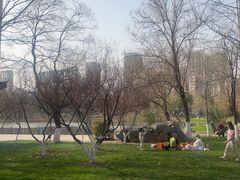 -堤角公园