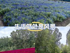 -百里山水画廊