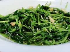 蒜蓉萝卜苗-印象徽州·正宗徽菜体验店