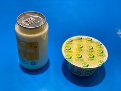 -德禄酸奶(莫家街店)