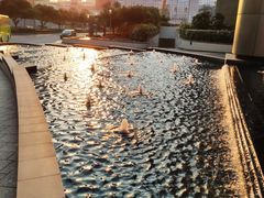 -澳门喜来登大酒店