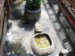 -三只耳火锅(宽窄巷子店)