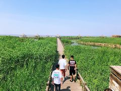 -哈素海