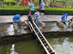 -水车博览园