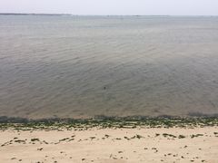 -北海金海湾红树林生态旅游区