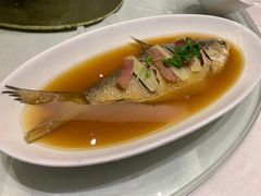 -骏莱海鲜鱼港(五角场店)
