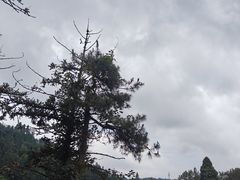 -鼓岭旅游度假区
