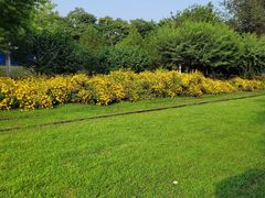 -永定河休闲森林公园