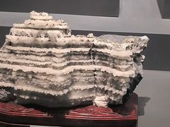 -湖南省地质博物馆