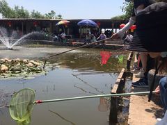 -同銮特种养殖场·龙虾垂钓