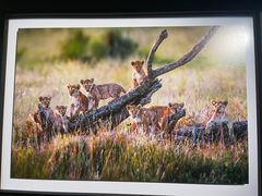 -罗红摄影艺术馆