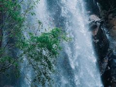 -陕西省红河谷森林公园