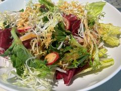 果蔬脆爽沙拉-悦融琥珀·京鲁菜·海味珍品(西单店)