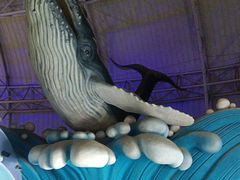 -烟台海昌鲸鲨海洋公园