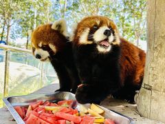-水上乐园·欢乐世界