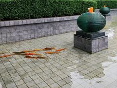 -千岛湖鱼味馆(十字街总店)