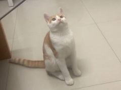 -莘程宠物医院(金山店)