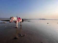 -南澳海滩