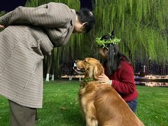 -南京眼步行桥