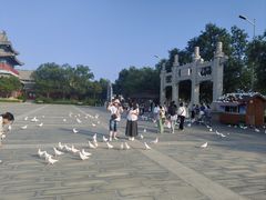 -天津妈祖文化园