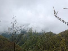 -塔云山