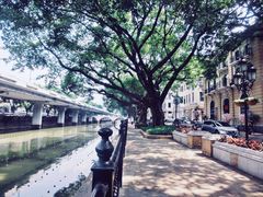 -广东胜利宾馆西关粤中餐厅