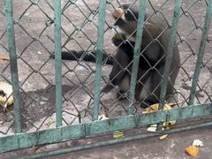 -秦皇岛野生动物园