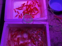 -华声天桥民俗文化园