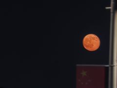 -海珠湖公园