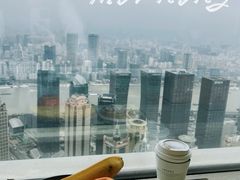 -上海柏悦酒店