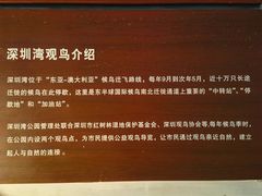 -深圳湾公园(南山区)
