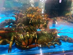 -盒马鲜生(领丰汇店)