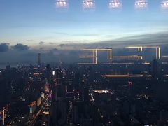 -瑞吉酒店·The Drawing Room闲逸廊·云端下午茶·夜奢Whiskey