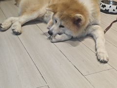 -YCHL Studios健身工作室(市二宫店)